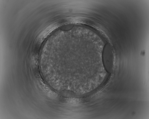 X0000114660785200912011134