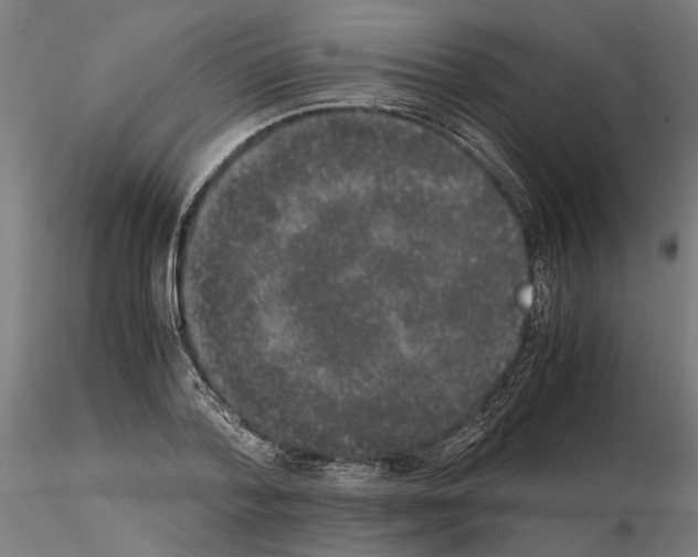 X0000114660788200912011134