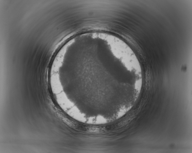 X0000114660790200912011134