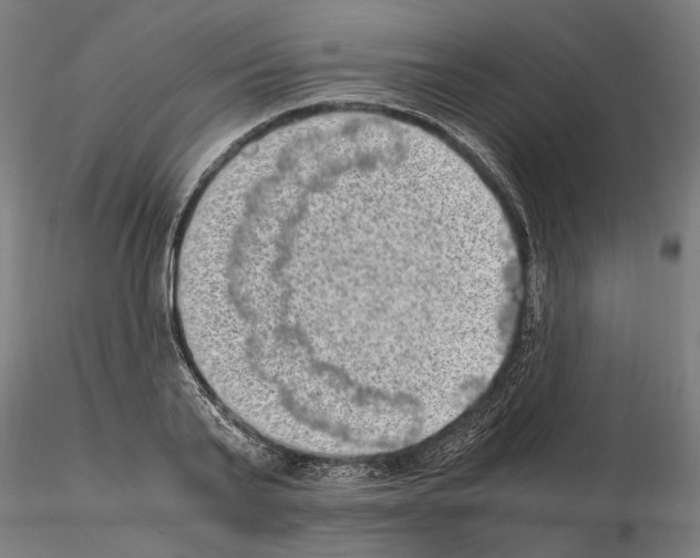 X0000114660791200912011134