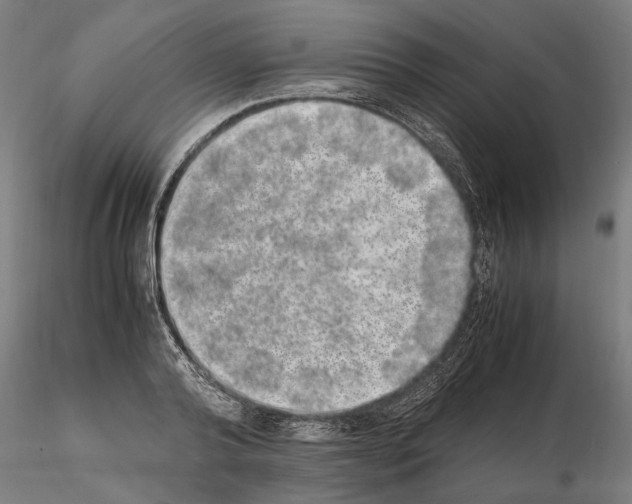 X0000114660792200912011134