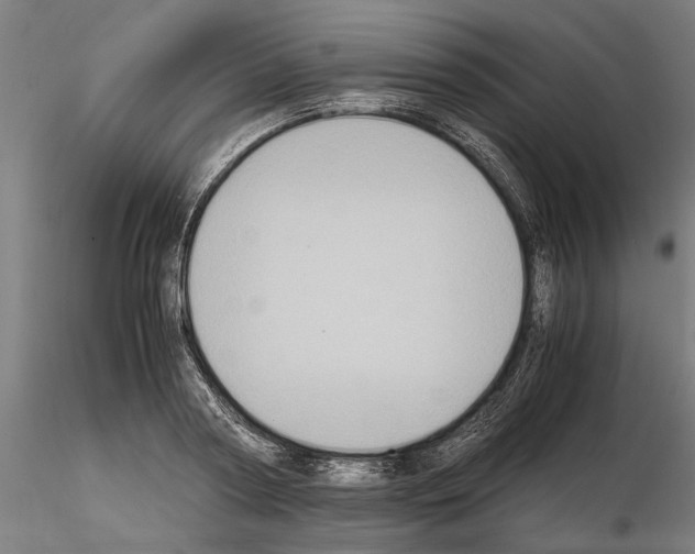 X0000114660794200912011134