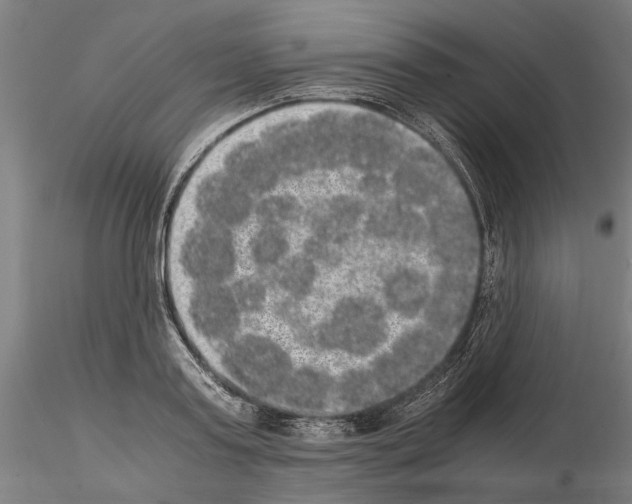 X0000114660795200912011134