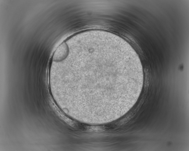 X0000114660796200912011134