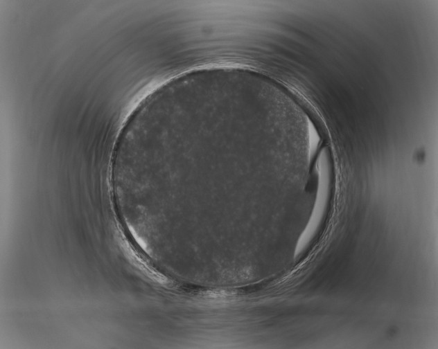 X0000114660797200912011134