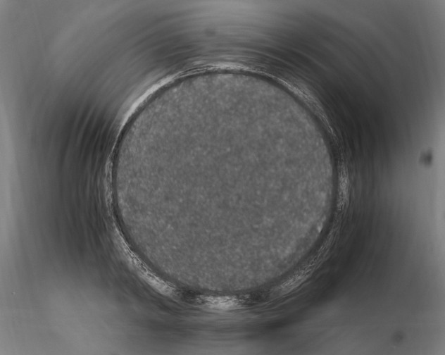 X0000114660798200912011134