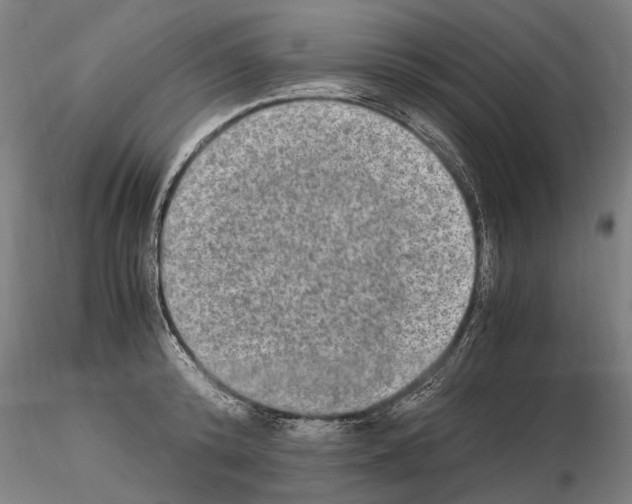 X0000114660800200912011134