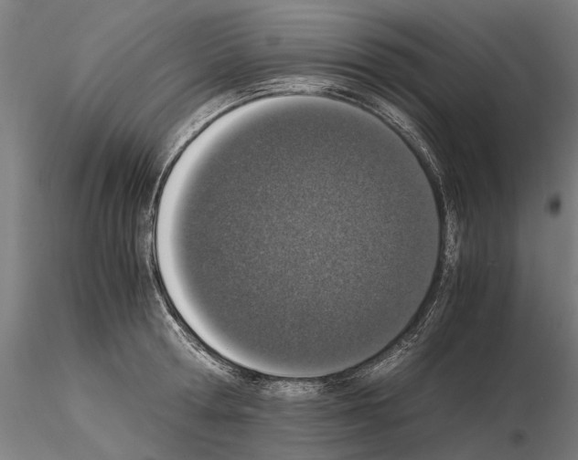 X0000114660802200912011134