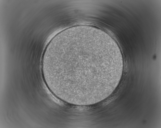 X0000114660803200912011134