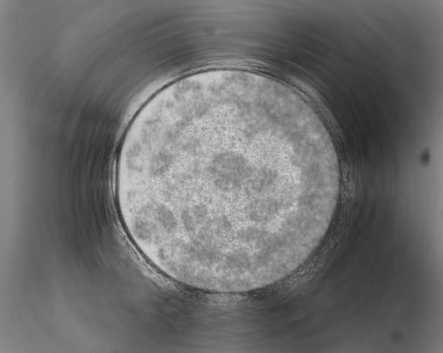 X0000114660804200912011134