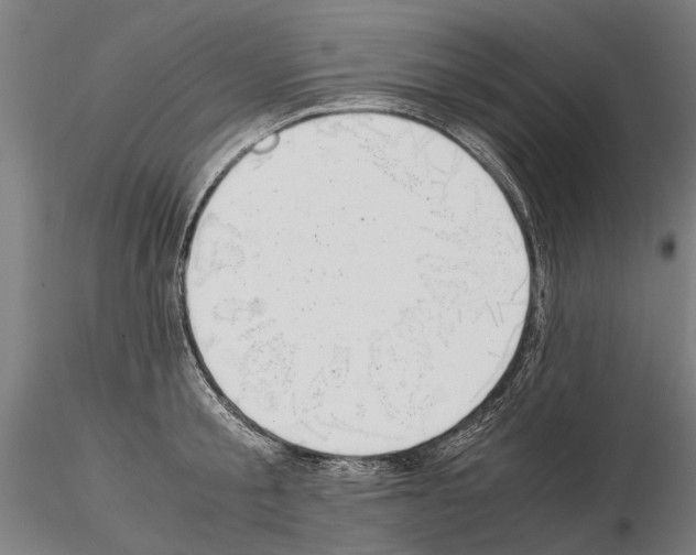 X0000114660805200912011134