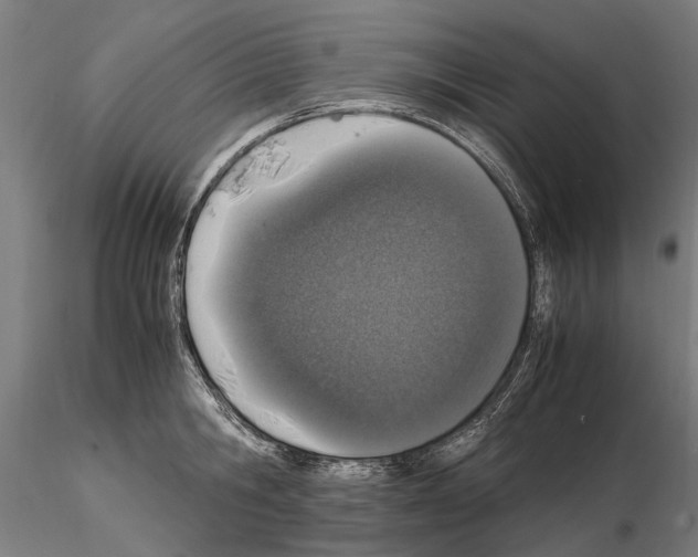 X0000114660806200912011134