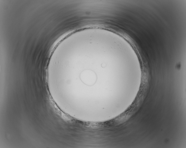 X0000114660807200912011134