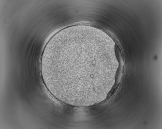 X0000114660808200912011133