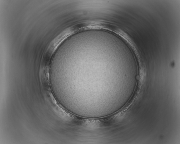 X0000114660809200912011133