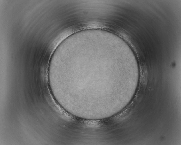 X0000114660810200912011133