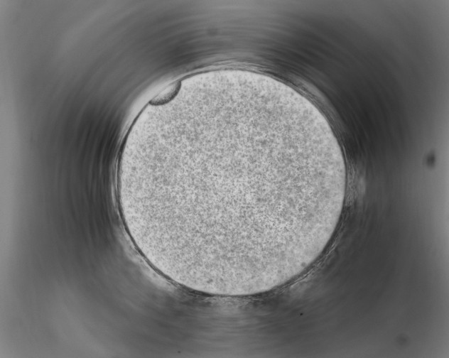 X0000114660812200912011133