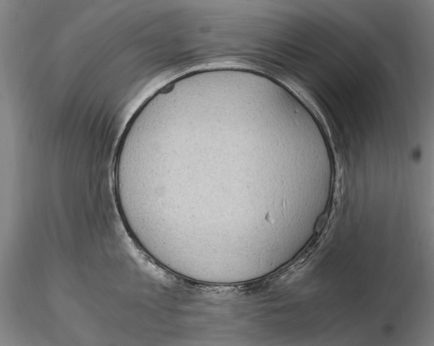 X0000114660813200912011133