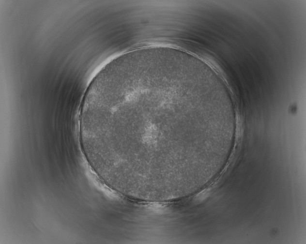 X0000114660814200912011133