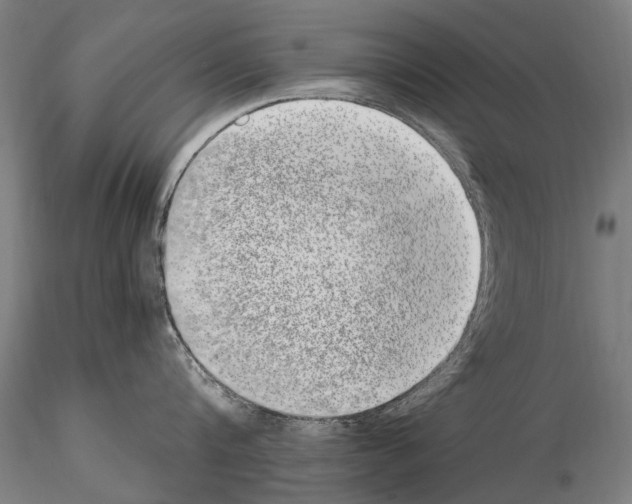 X0000114660816200912011133