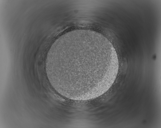 X0000114660817200912011133