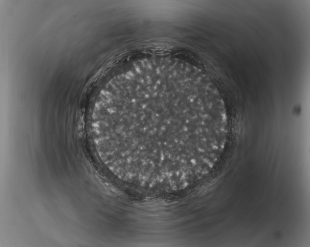 X0000114660818200912011133