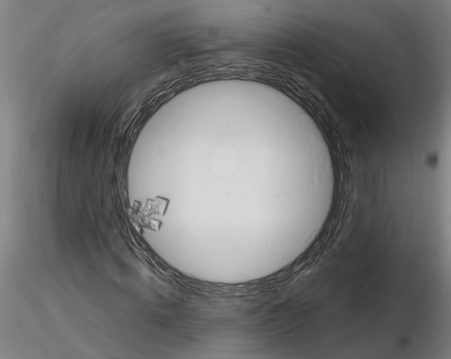 X0000114660820200912011133