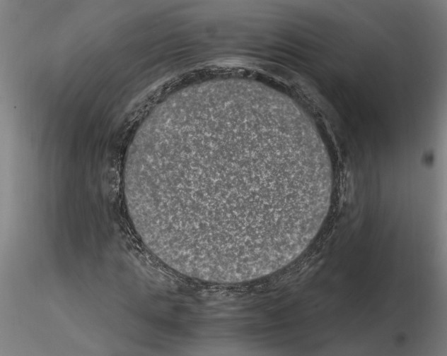 X0000114660821200912011133