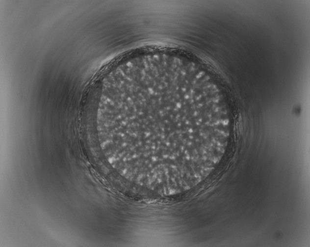 X0000114660822200912011133