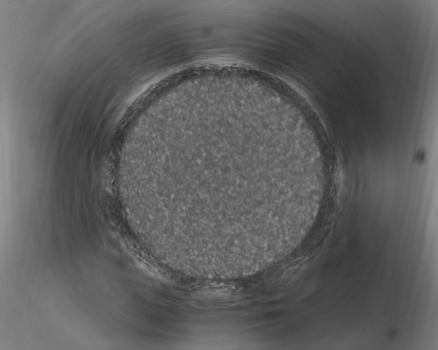 X0000114660823200912011133