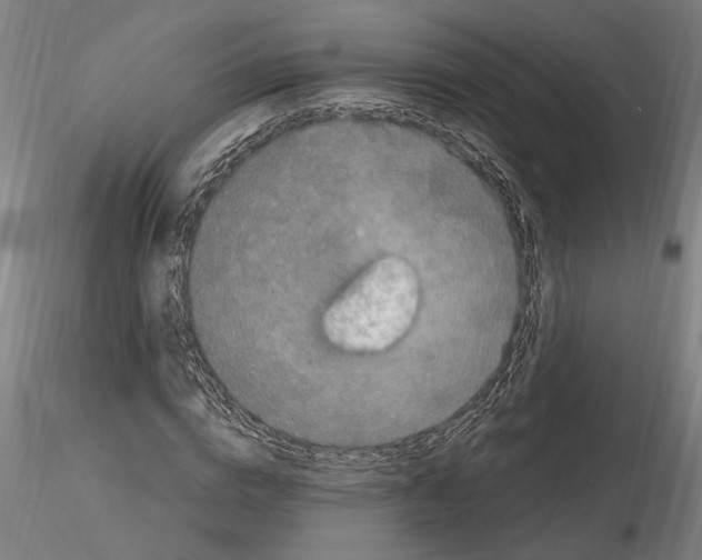 X0000114660824200912011133