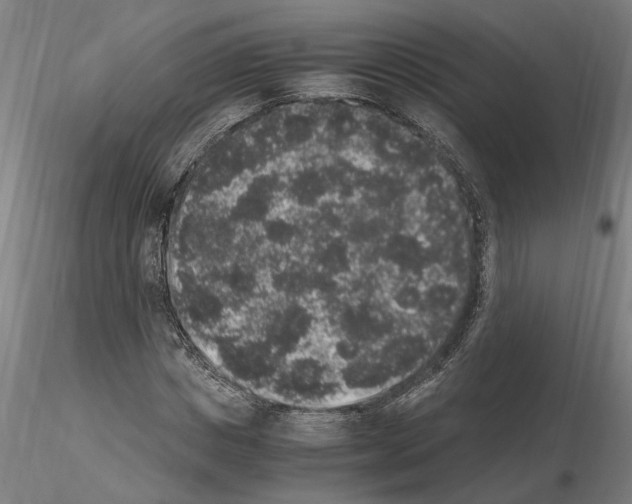 X0000114660825200912011133