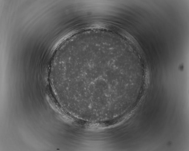 X0000114660826200912011133