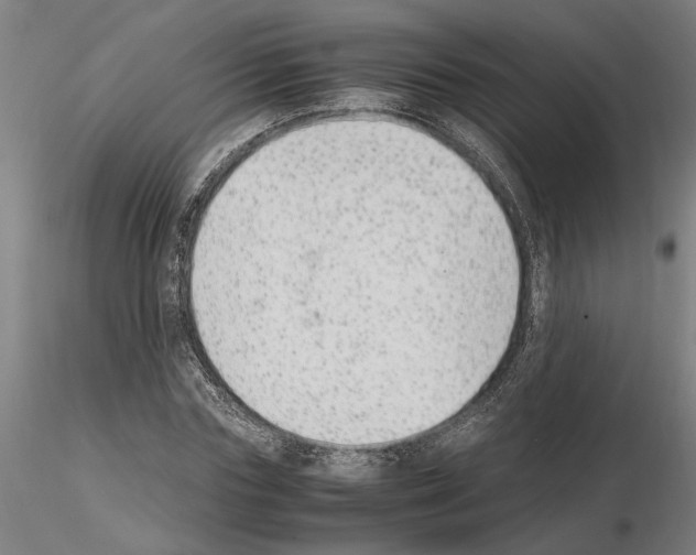 X0000114660827200912011133