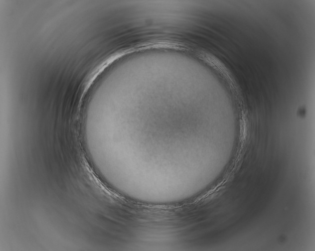 X0000114660828200912011133