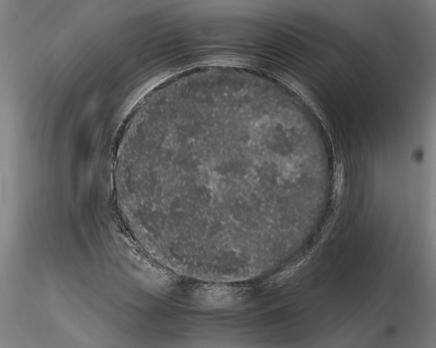 X0000114660829200912011133