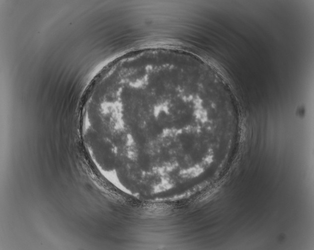 X0000114660830200912011133