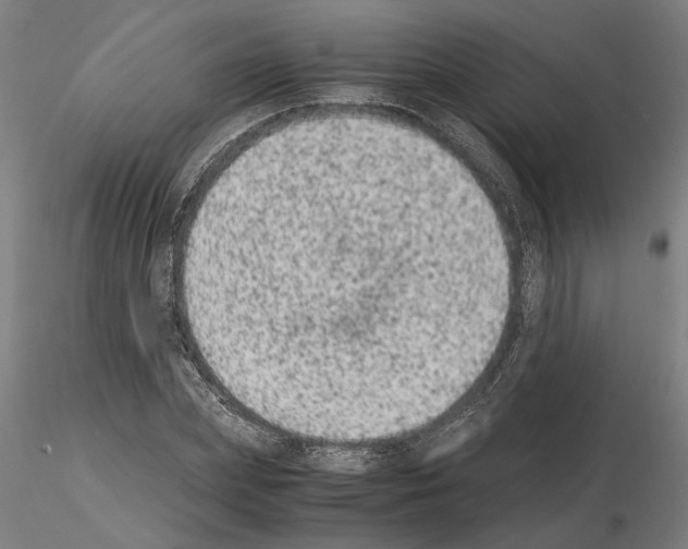 X0000114660831200912011133