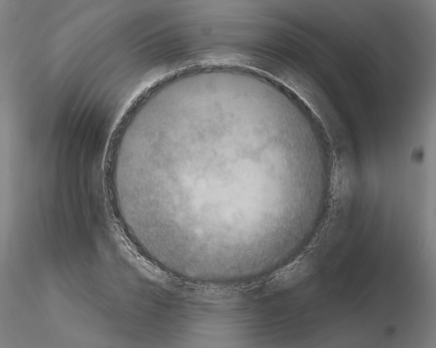 X0000114660832200912011133