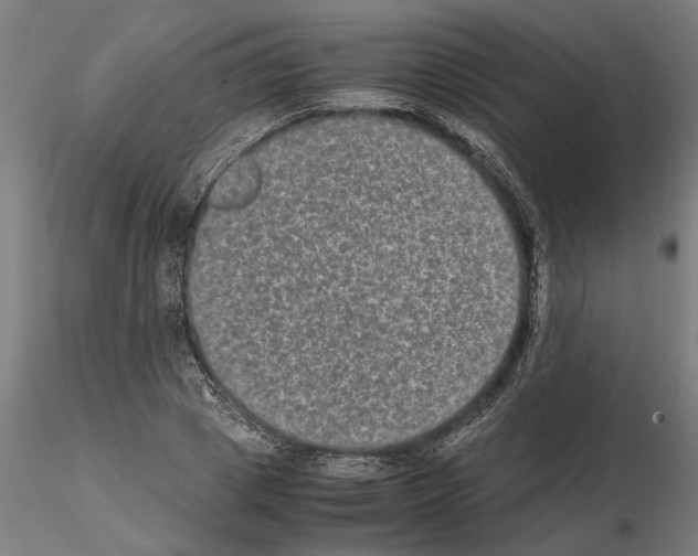 X0000114660833200912011133