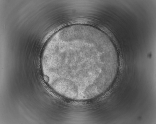 X0000114660834200912011133