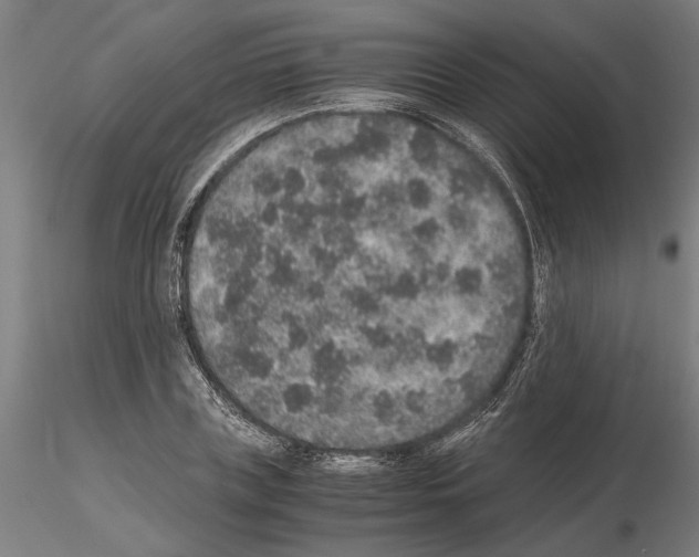 X0000114660835200912011133