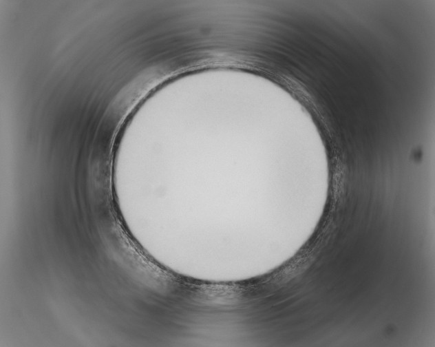 X0000114660836200912011133