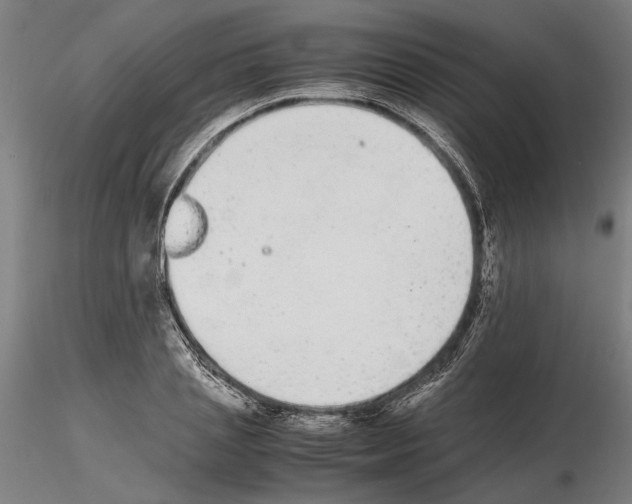 X0000114660837200912011133