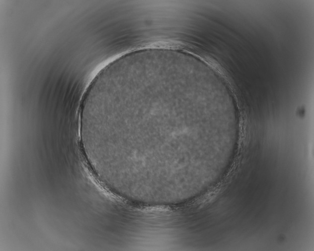 X0000114660838200912011133