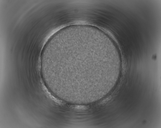 X0000114660839200912011133