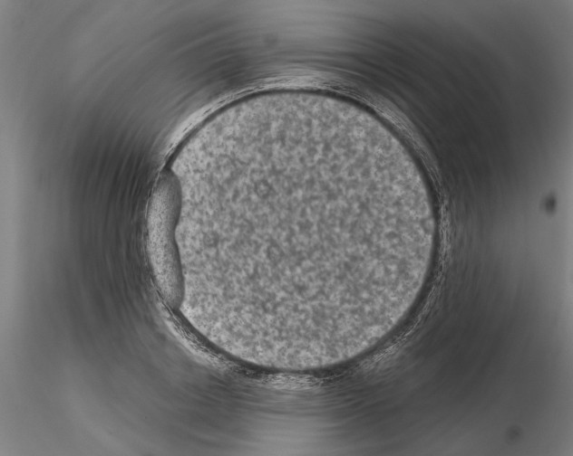 X0000114660842200912011133