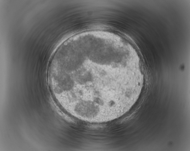 X0000114660843200912011133