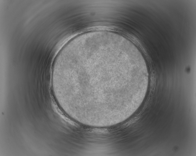 X0000114660844200912011133