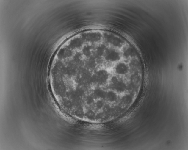 X0000114660845200912011133